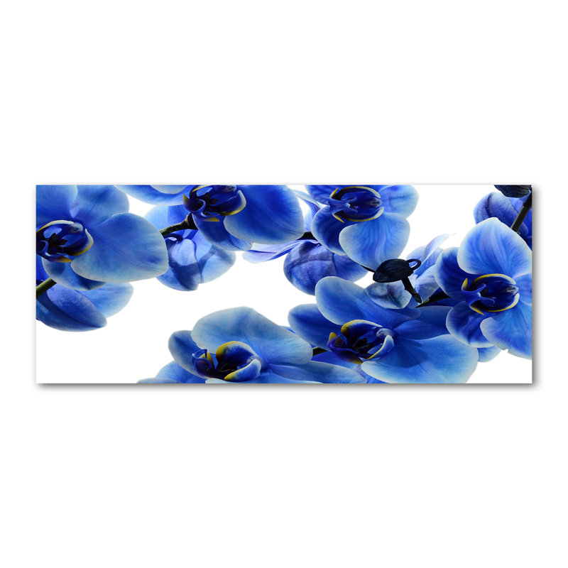 Blue Orchid - Wrapped Canvas Print