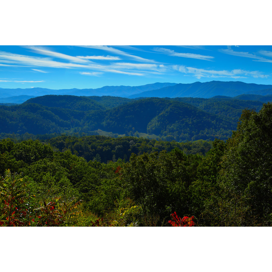 Scenic Foothills Parkway # von Chimperil - Kunstdrucke auf Leinwand