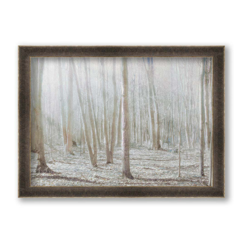 Lumière dans la forêt par Hal Halli. Impression sur papier - Montée et encadrée avec de l'acrylique transparent