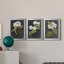 «Dramatic White Flowers I», ensemble de 3 peintures sur toile encadrées-1356238376-1356238375