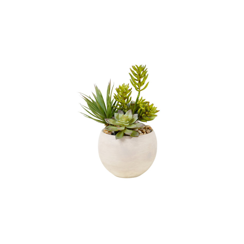 Succulent Arrangement in Granite Ceramic Sphere
