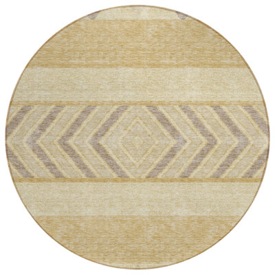  Chayden Area Rug with Non-Slip Backing