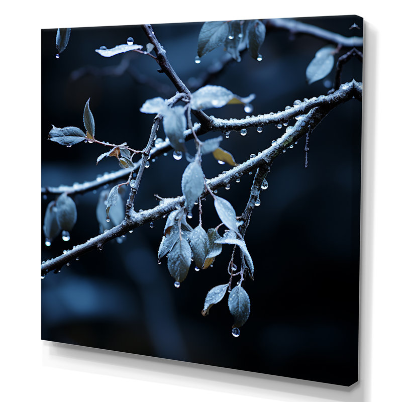 Arbre au clair de lune, arbre d'hiver II - fruits, art mural, Toile tendue, H 30 po x l 30 po x P 1,5 po