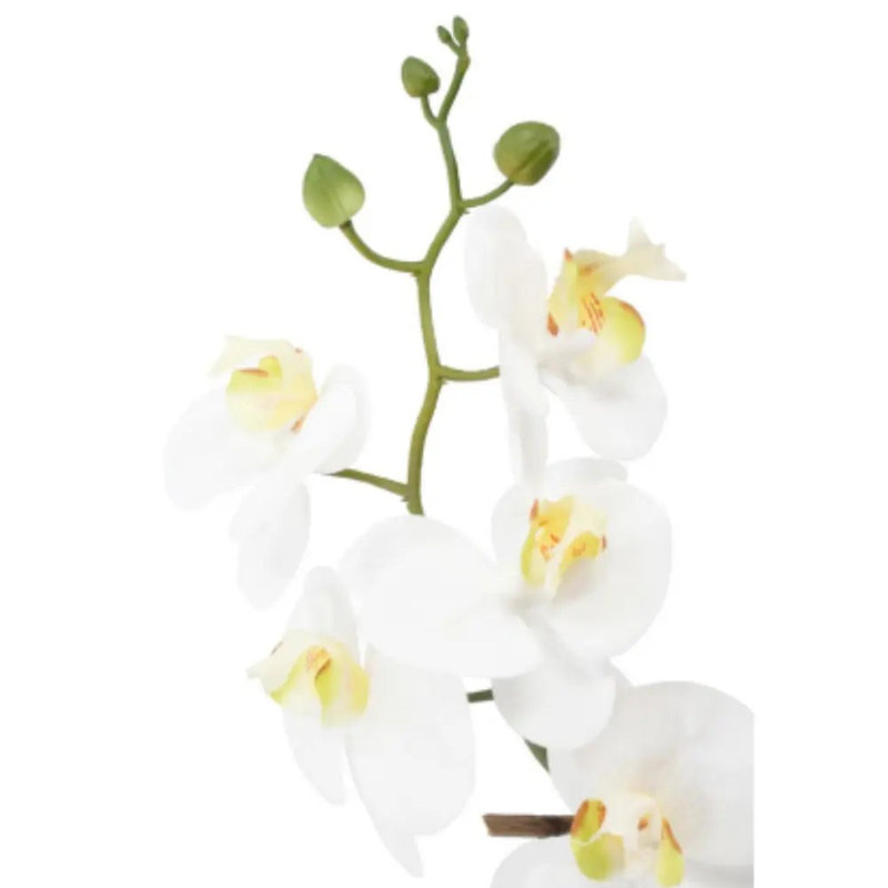 22" Artificial White Phalaenopsis Orchids