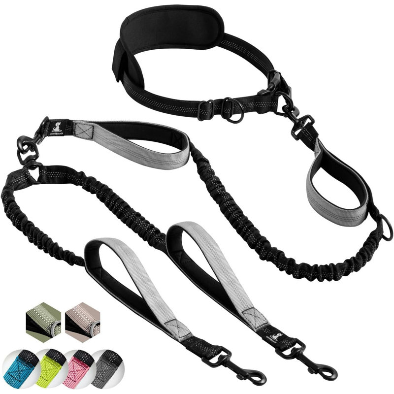 Laisse de marche pour chien à double tête, sangle de traction double pour chien un à deux, laisse anti-enchevêtrement pour les petits et moyens chiens