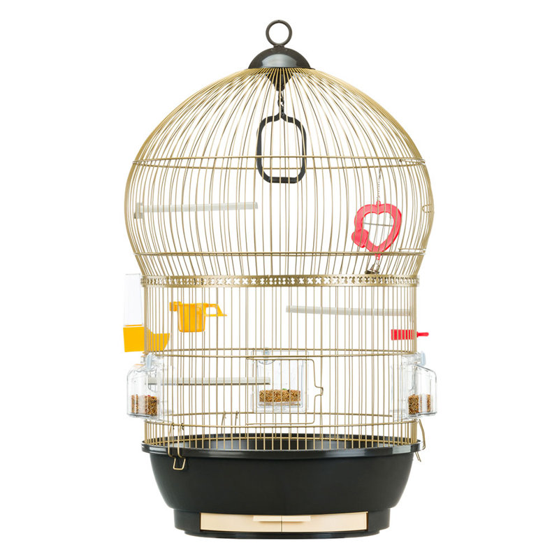 68.5cm Hanging Bird Cage with Perch, Gold/Black