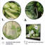 Herbes de poterie délices 3 - art mural herbes-799349214-799349220