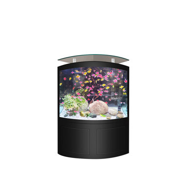 Grand aquarium en forme d'éventail 31,5 po