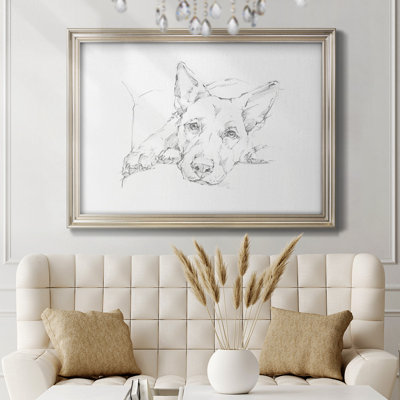 " Lazy Dog IV "