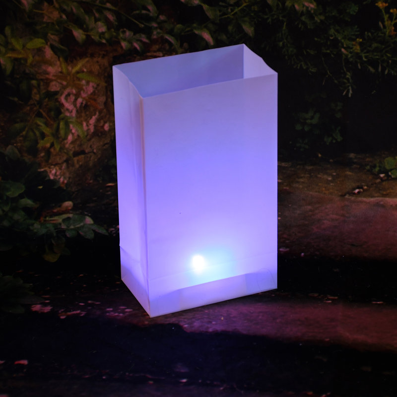 Widman Color Changing Battery Operated LED Lights with Timer