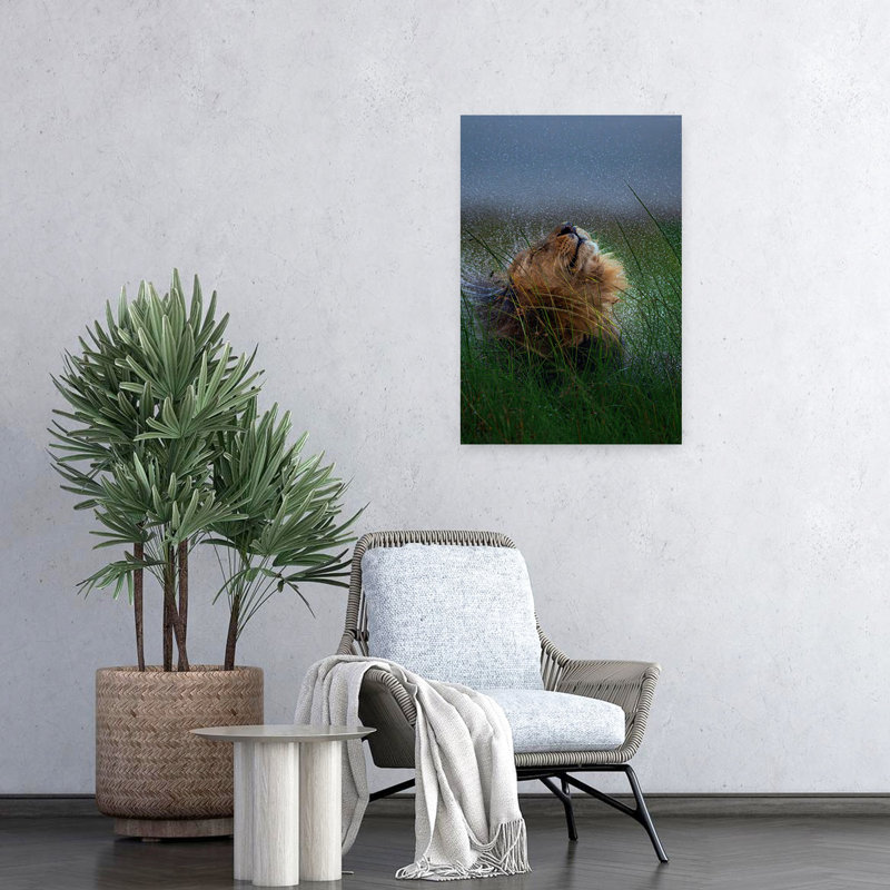 Art contemporain, lion sauvage, 24" H x 16" W
