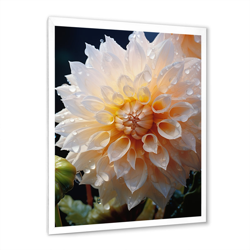 Sérénade florale orange sur toile, H 40 po x l 30 po x P 1,5 po, Cadre simple blanc