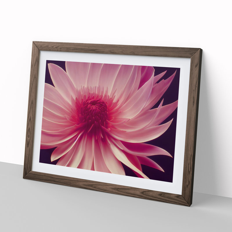 Cute Chrysanthemum Flower - Framed Print, 34cm H x 46cm W x 2cm D, Walnut