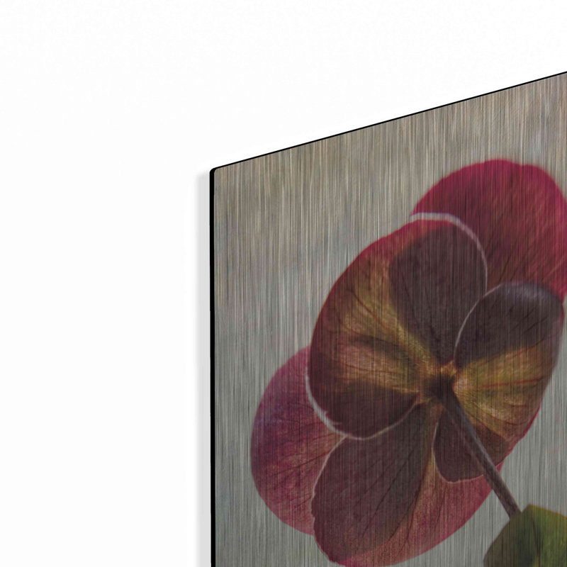 «Lenton Rose II» par Debra Van Swearingen, H 16 po x l 12 po