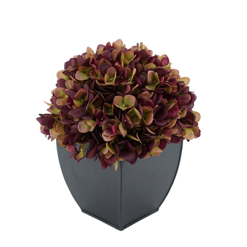 Arrangement floral hortensia en pot, Prune