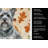 Gray Skye Terrier Heirloom Fall Kitchen Towel-1218231305