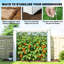 Greenhouse-123515064
