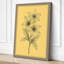 Clustered Bloom Study Botanical - Wrapped Canvas-994548657-994548671