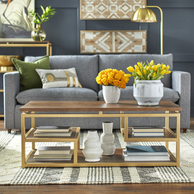 Table basse avec rangement Evgeniya