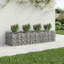 Planter-1473495515