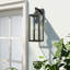 Schlesinger Matte Black Outdoor Wall Lantern-891558572