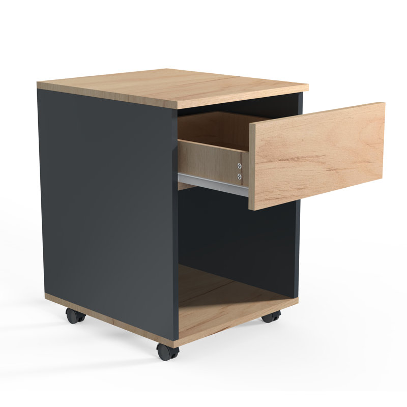 Remedios 39cm Wide File Cabinet, Black/Brown, 45cm H x 39cm W x 55cm D