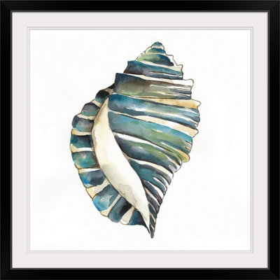 «Aquarelle Shells I» par Chariklia Zarris, reproduction d'art