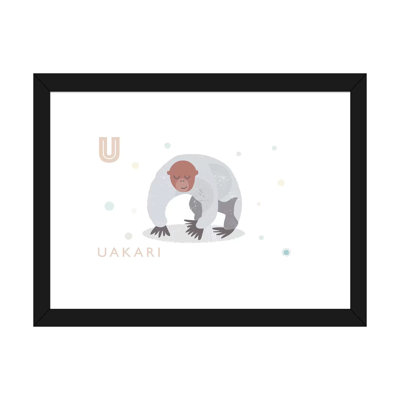 " Uakari "