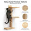Carlill Scratching Post