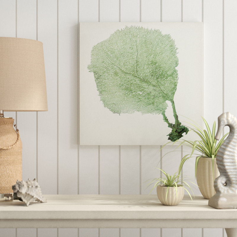 «Sea Fan II», peinture sur toile, H 12 po x l 12 po