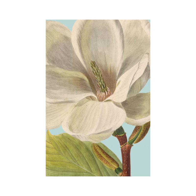 Fresh Florals I by Vision Studio - Wrapped Canvas Painting, 30.48 cm H x 45.72 cm W