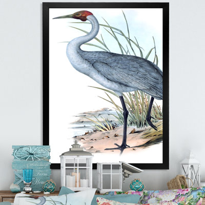 " Vintage Australian Birds V "