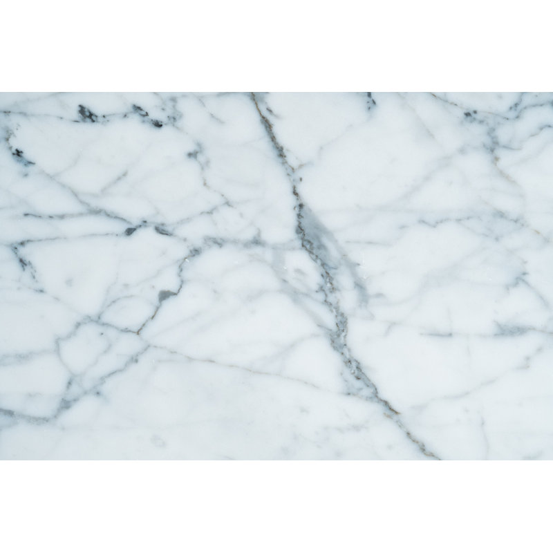 Calacatta Gold Polished 12" x 12" Marble Stone Look Wall & Floor Tile