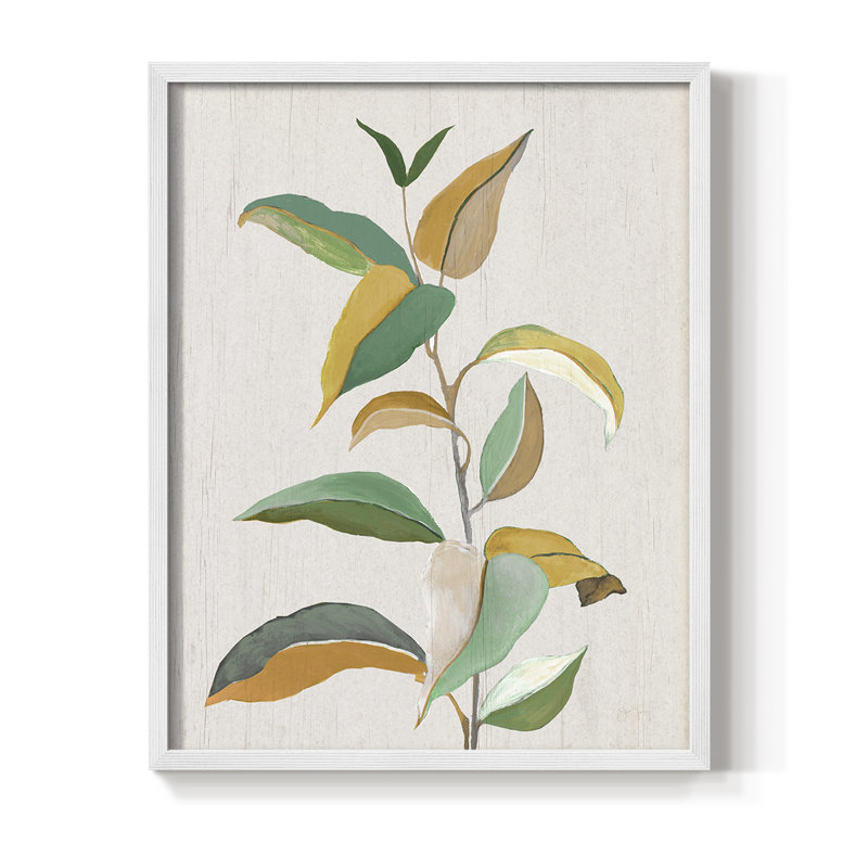 Touched with Sage I, reproduction encadrée - bois massif, H 15 po x l 12 po, Blanc