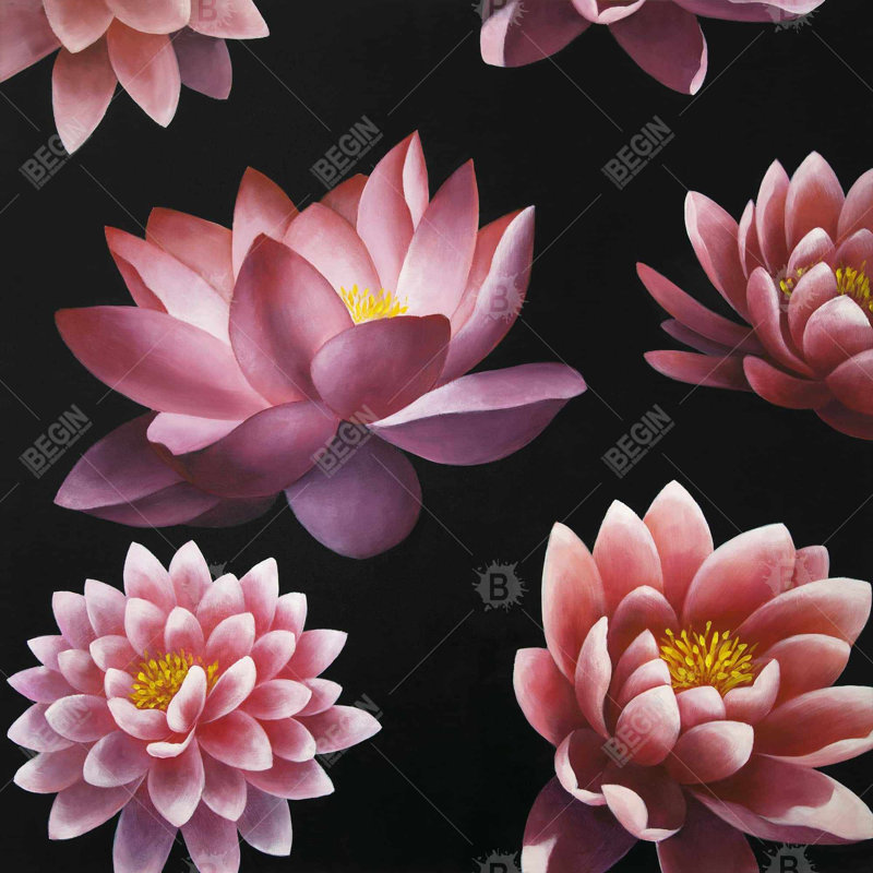 " Lotus Flower Pattern "
