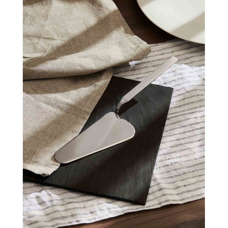 Dry Stainless Steel Cake Server
