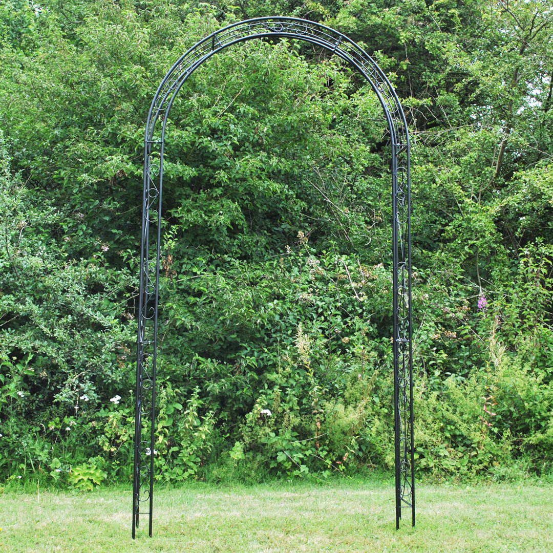 Adolfo 120cm W x 30cm D Metal Arbour with Gate in Black