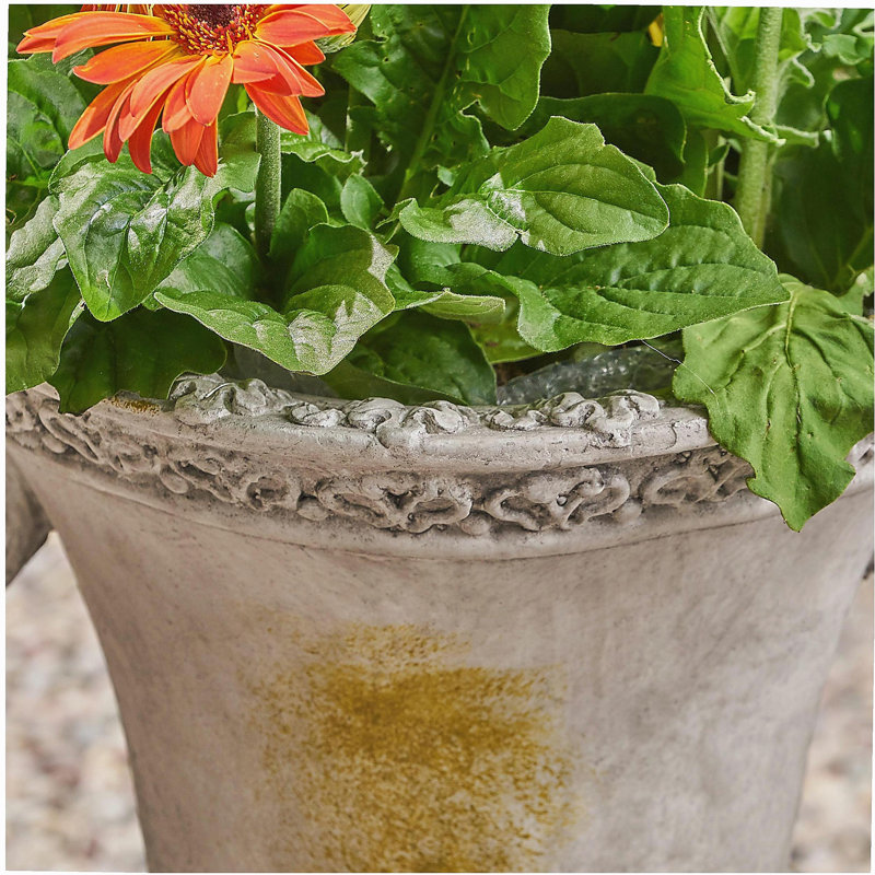 DELPHINE URN
