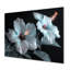 Hibiscus blanc et rose transparent - art mural hibiscus-1207215269-1207215270