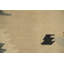 Tapis turc oriental 5 x 8