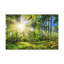 No Frame Print on Canvas-352178911