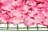 Artificial Silk Flower Wall Panels