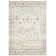 Setser Garden Viscose Oriental Rug in Beige/Gray
