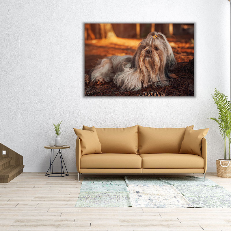 «Shih Tzu Dog Resting in Forest at Sunset», reproduction d'art sur toile, H 24 po x l 36 po