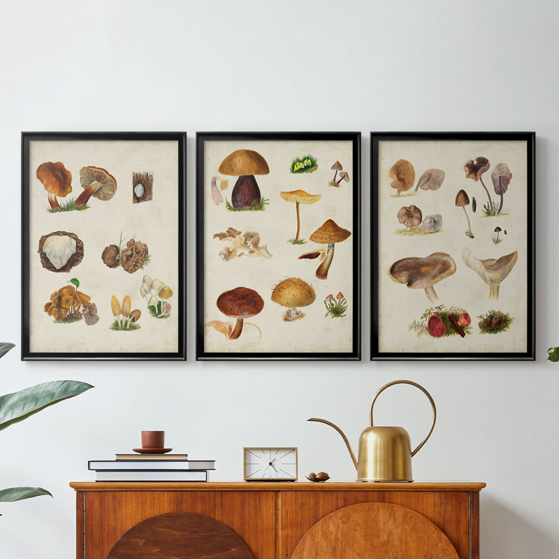 Mushroom Species I - Toile tendue avec châssis sur mesure - 3 pièces, H 39 po x l 81 po, Noir