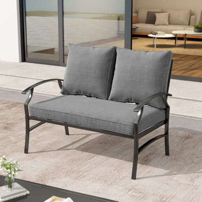 Nickita Metal Outdoor Loveseat with Cushions