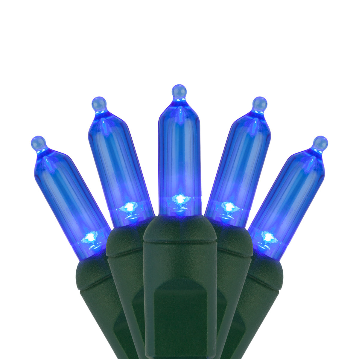 25.5' Steady LED String Lights, Blue