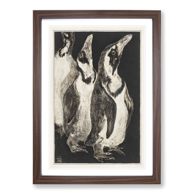 Three Penguins by Theo Van Hoytema - Picture Frame Drawing, Walnut, 48cm H x 36cm W x 2cm D