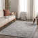Finnlagh Oriental Indoor Rug