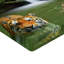 Drap-housse Ambesonne Savannah-106750857